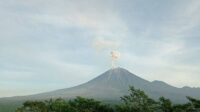 Gunung Semeru masih meneluarkan abu vulkanik (Foto: BPBD Lumajang)