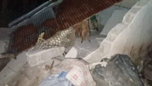 Salah satu rumah warga yang rusak pascagempa 5,2 magnitudo di Karangasem, Bali, Selasa (13/12/2022). (Foto: BPBD Kabupaten Karangasem)