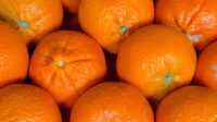 Ilustrasi jeruk mandarin (IST)
